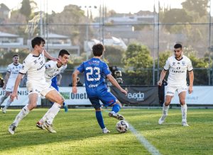 OK9: Nhận định South Melbourne vs Avondale FC – Đại chiến đỉnh NPL Victoria