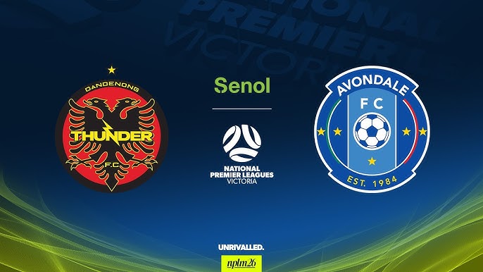 OK9: Nhận định Avondale vs Dandenong Thunder – Chênh lệch lớn 1 OK9: Nhận định Avondale vs Dandenong Thunder – Chênh lệch lớn